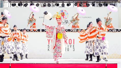 4k 高知信用金庫 高知よさこい祭り 2023 本祭2日目 中央 Youtube