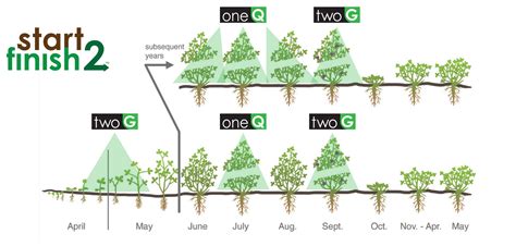 Start2finish The Nachurs Bio K System For Maximizing Alfalfa Yields