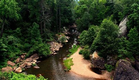 10 Of The Best Hiking Trails In Alabama Flavorverse