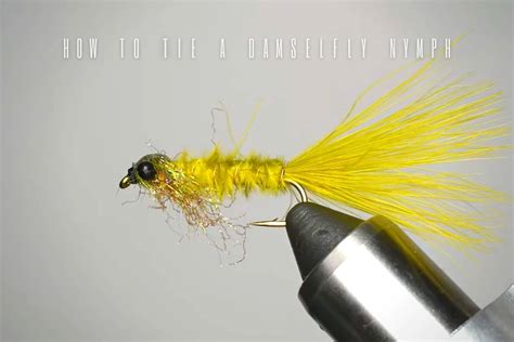 The Damselfly Nymph Fly Tying Guide