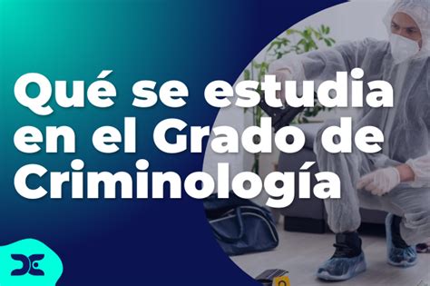 Qué se estudia en el Grado de Criminología Salidas Profesionales