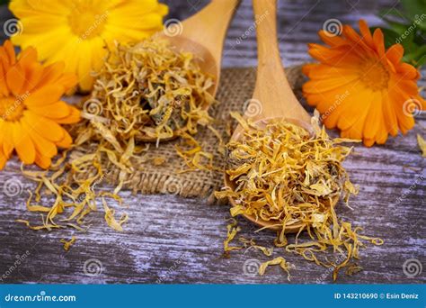 Fresh And Dried Calendula Officinalis Herbal Flowers Stock Photo