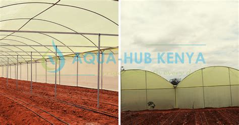 Greenhouse Kenya Suppliers By Aqua Hub Kenya