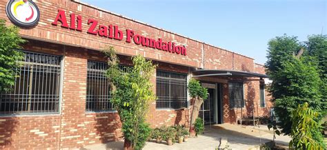 entrance door shade  sun  rain covers  shades faisalabad