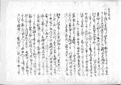 【未使用】水戸諸書桜田門外の変）11コマ＋解読文 デジタル古文書 歴史日本史料幕末井伊直弼彦根藩主幕府大老井伊掃部頭水戸薩摩浪士の落札情報