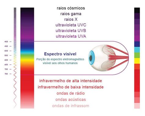 Ptica E Comportamento Da Luz