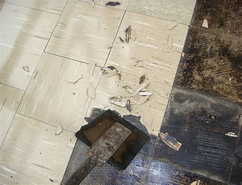 Vinyl Floor Tiles Containing Asbestos Floor Roma