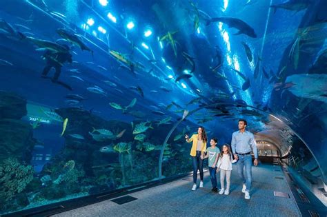 Burj Khalifa And Dubai Aquarium Tickets Combo Offer