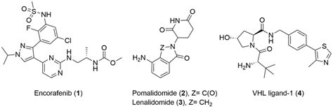 Chemical Structures Of Encorafenib Pomalidomide Lenalidomide And Vhl Download Scientific