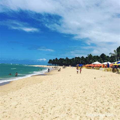 Praia do Gunga em Alagoas é um verdadeiro cartão postal Diana Viaja