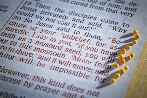 Bible Verses About Mustard Seed