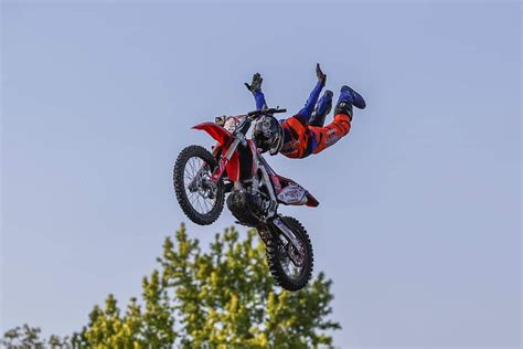 The Fmx Pros