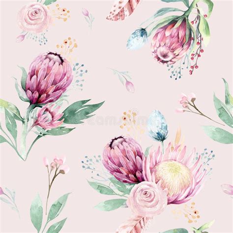 Hand Drawing Watercolor Floral Pattern With Protea Rose Leaves