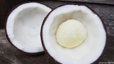 Coconut Embryo Benefits 8 Reasons Why You Should Start Eating This