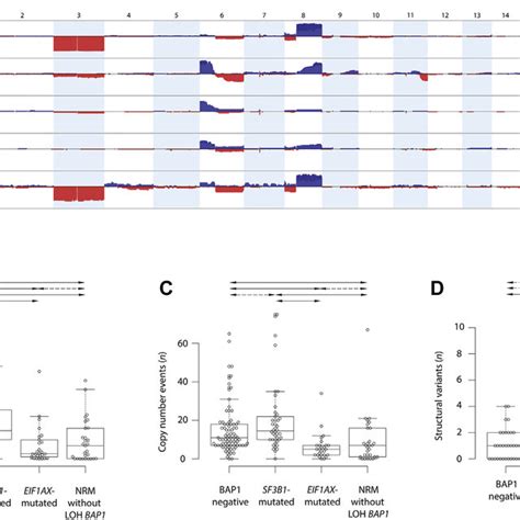 Schematic Overview Of The Uveal Melanoma Target Genes A Doughnut