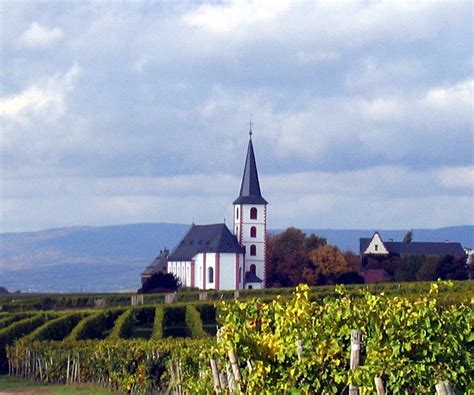 weingut weingut der stadt frankfurt