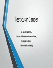 Understanding Testicular Cancer Types Risk Factors And Course Hero