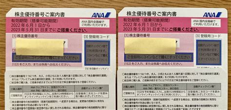 Yahooオークション Ana 全日空 株主優待券 2枚セット 2023年5月31日