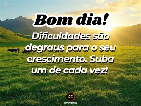 Mensagem Bom Dia Motivacional - Mensagem de Bom Dia Motivacional: Frases Top Para Conquistar