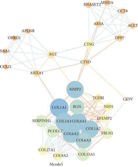 Gene Protein Protein Interaction Maps Of The Functional Modules Mined