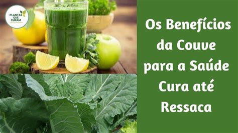 Os Benef Cios Da Couve Para A Sa De Cura At Ressaca Youtube