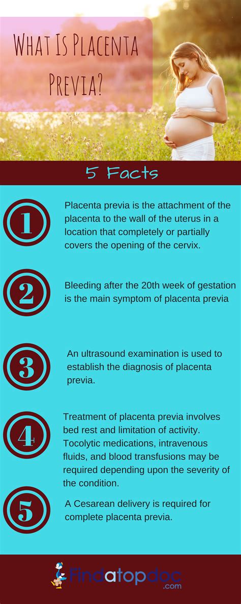 Placenta Previa Symptoms Causes Treatment And Diagnosis FindATopDoc