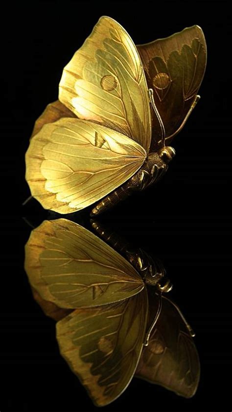 Golden Butterfly Wallpapers Top Free Golden Butterfly Backgrounds