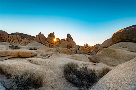 Spring In Joshua Tree More Than Just Parks National Parks Guides