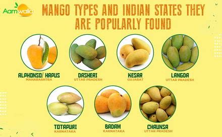 Mango Types And Their Indian States Popularly Found Aam Walla