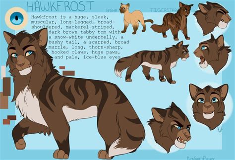 Hawkfrost By PureSpiritFlower On DeviantArt Warrior Cat Warrior Cats