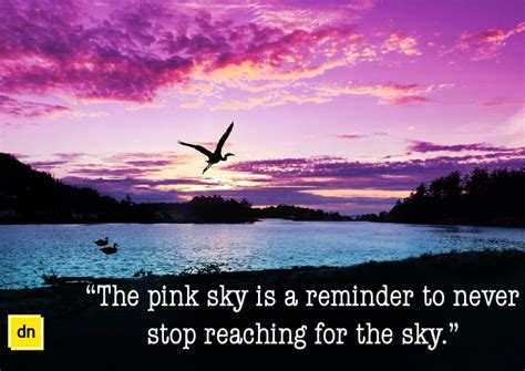 101+ Best Pink Sky Captions and Quotes For Instagram - The Daily Nairobi