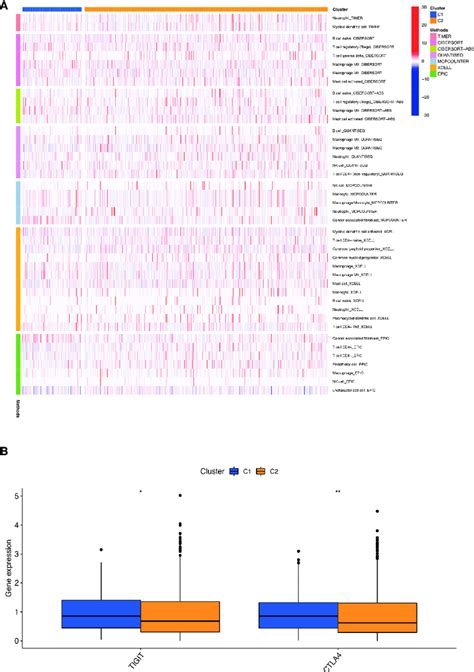 Infiltration And Expression Of Immune Cells Immune Checkpoints In