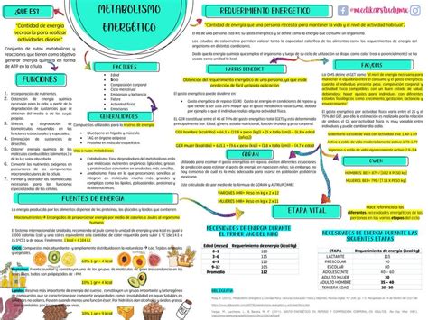 Metabolismo Energ Tico Karen Urenda Medikarstudymx Udocz