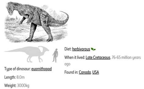 Top 10 Herbivorous Dinosaurs Ever Lived On Earth My Dinosaurs