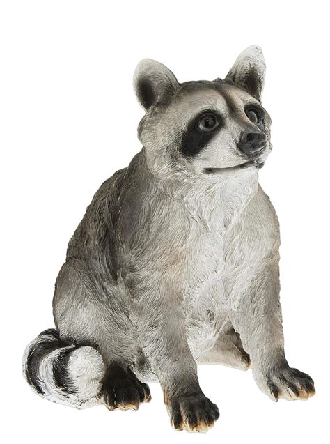 Best Raccoon Garden Statue Concrete Your Home Life