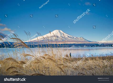 Fiji Mountain Stock Photo 265508687 : Shutterstock