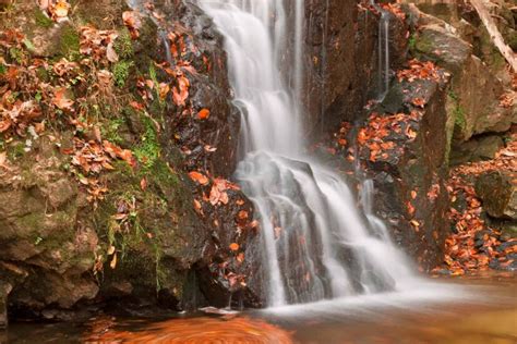 Patapsco Valley State Park: Best Trails & RV Guide