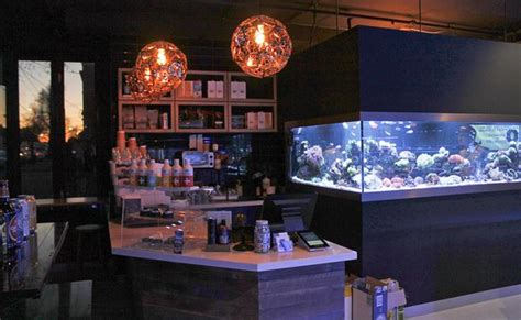 Reef Galleria Aquarium And Cafe Melbourne Updated 2020 All You Need To