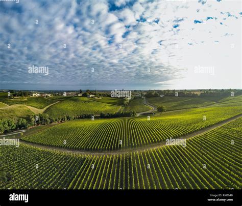 Aerial View Of Vineyard Hi Res Stock Photography And Images Alamy