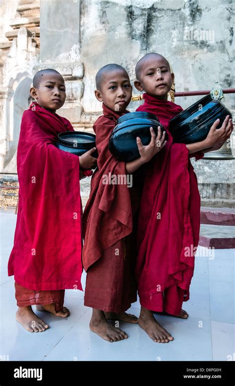 Novice Buddhist Monks Collecting Alms Bowls Of Food In The Morning From