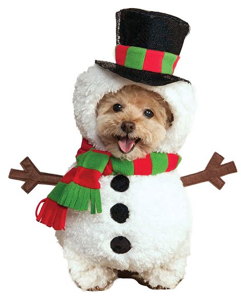 Dog Christmas outfits that you'll love dressing your pooch in