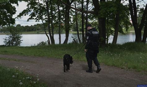 Szkolenie psów policyjnych z niespodziewanym finałem Zatrzymano 16 latka