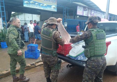 Polícia Militar doa mais de 240 quilos de pescado apreendido na região