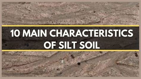 SILT SOIL : 10 MAIN CHARACTERISTICS OF SILT SOIL | SOIL TYPES | SOIL ...