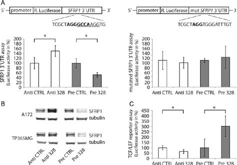 Sfrp And Wnt Signaling Is A Target Of Mir In Glioma Cell Lines