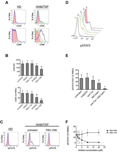 Inhibition Of Nf B Leads To The Modulation Of Immune Activation In