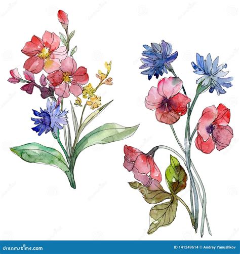 Wildflower Bouquet Floral Botanical Flowers Watercolor Background Set Isolated Wildflowers