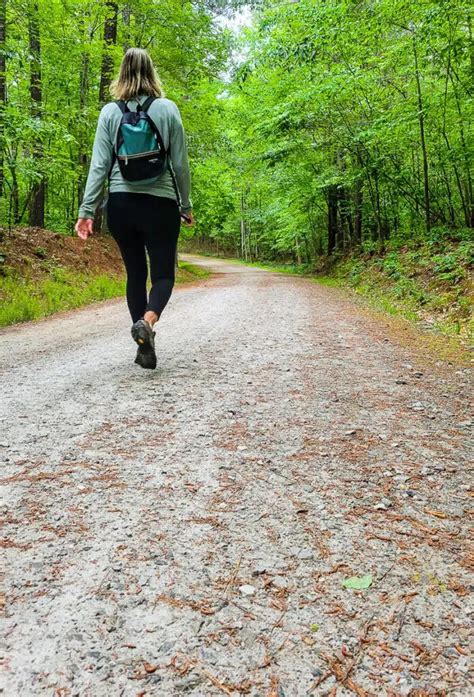 Hiking The Loblolly Trail Reedy Creek Trail Loop In Umstead State Park This Is Raleigh