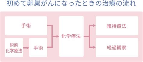 治療の流れ 卵巣がんサポートナビ 武田薬品工業株式会社