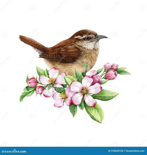 Carolina Wren Thryothorus Ludovicianus In Side View Sitting On A